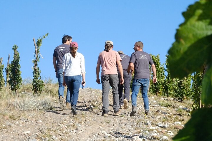 Uco Valley : Zuccardi Experience & Lunch at Salentein Winery.