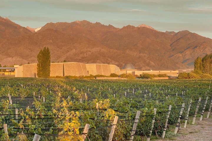 Uco Valley : Zuccardi Experience & Lunch at Salentein Winery.