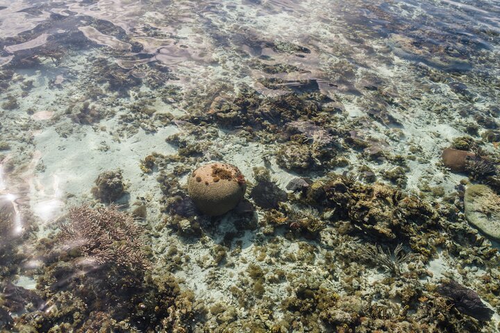 Great Blue Hole and Lighthouse Reef Atoll Snorkel Adventure