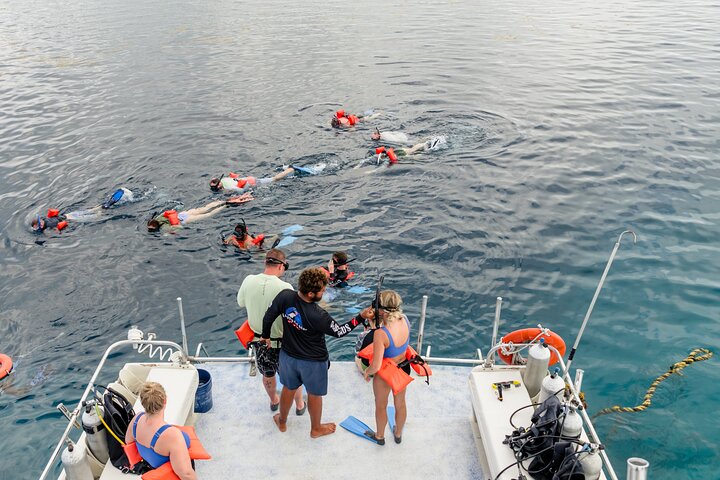 Great Blue Hole and Lighthouse Reef Atoll Snorkel Adventure