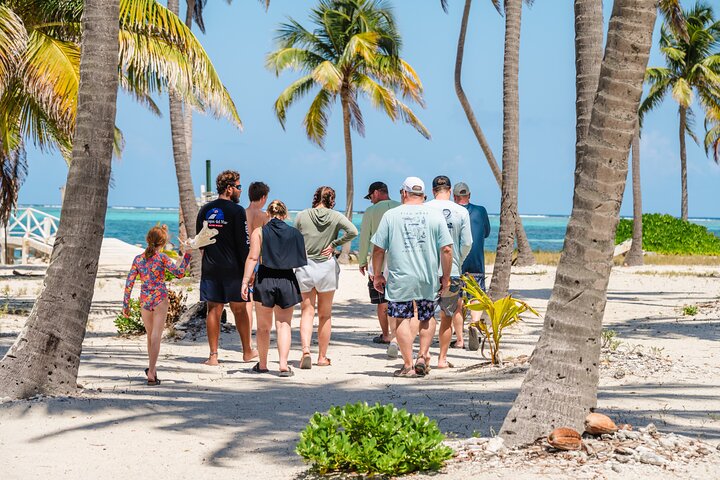 Great Blue Hole and Lighthouse Reef Atoll Snorkel Adventure