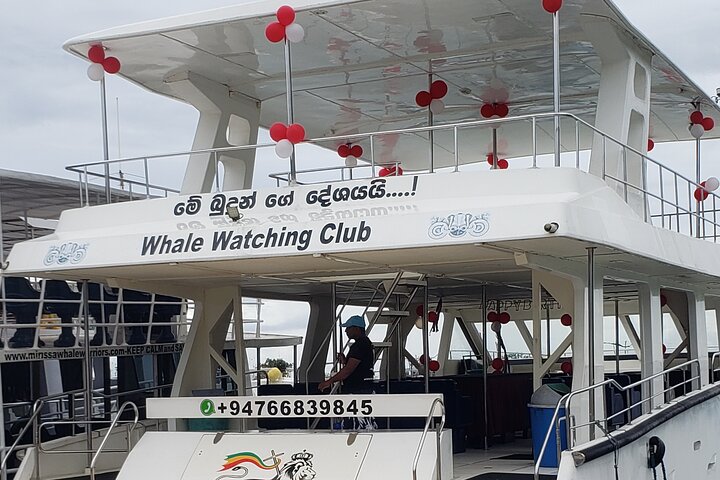 Whale Watching Mirissa with WWC