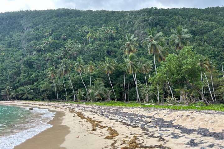 Hermit beach snolkelin.