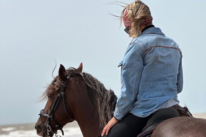 Horseback Riding in Essaouira - Essaouira HorseRiding