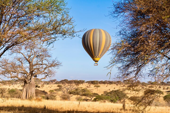 Maasai Mara Hot Air Balloon Safari and Champagne Breakfast