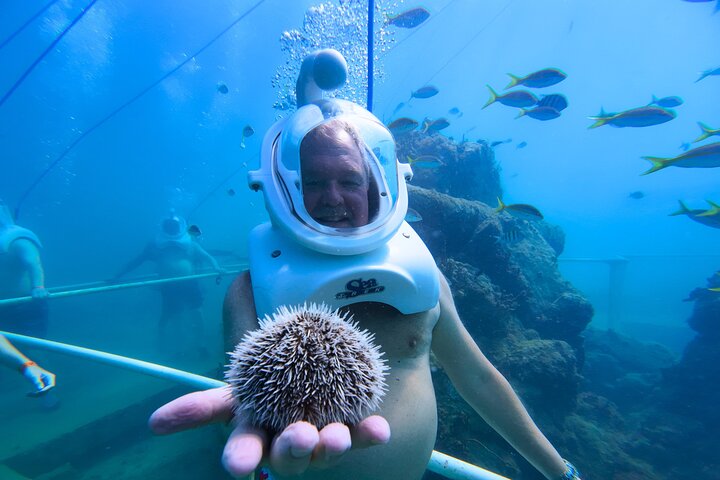 SeaTrek Tour St. Maarten