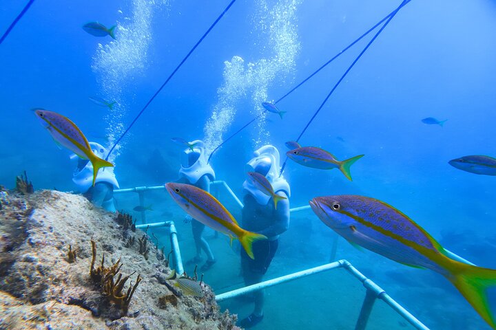 SeaTrek Tour St. Maarten
