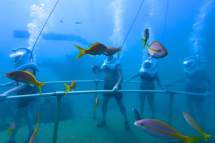 SeaTrek Tour St. Maarten