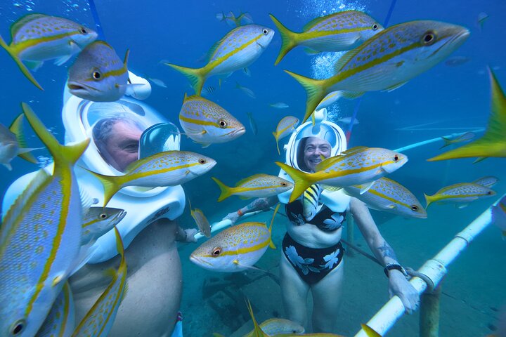 SeaTrek Tour St. Maarten