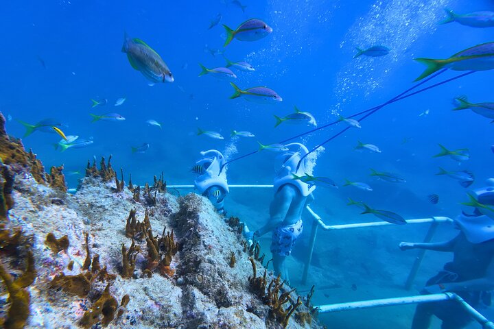 SeaTrek Tour St. Maarten