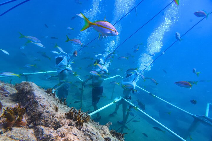 SeaTrek Tour St. Maarten