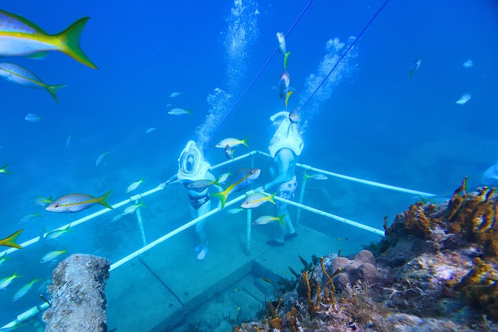 SeaTrek Tour St. Maarten