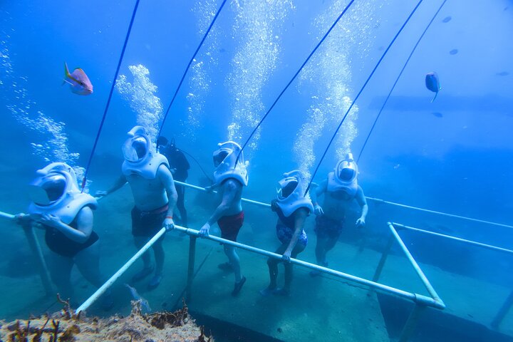 SeaTrek Tour St. Maarten