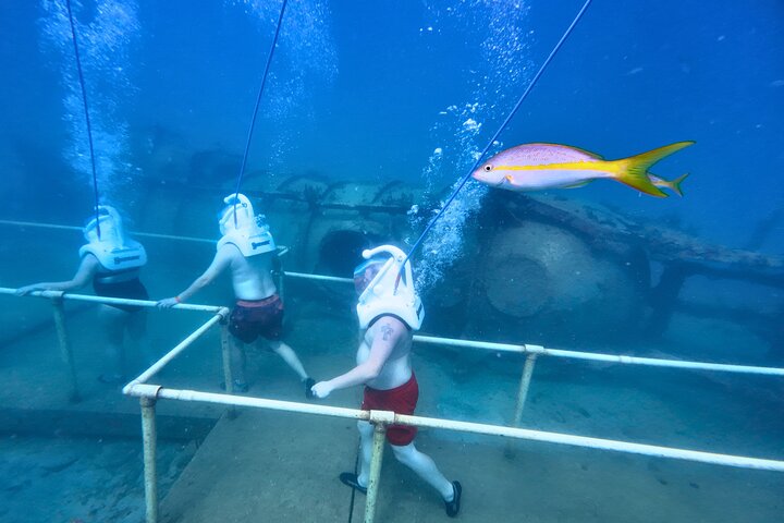 SeaTrek Tour St. Maarten