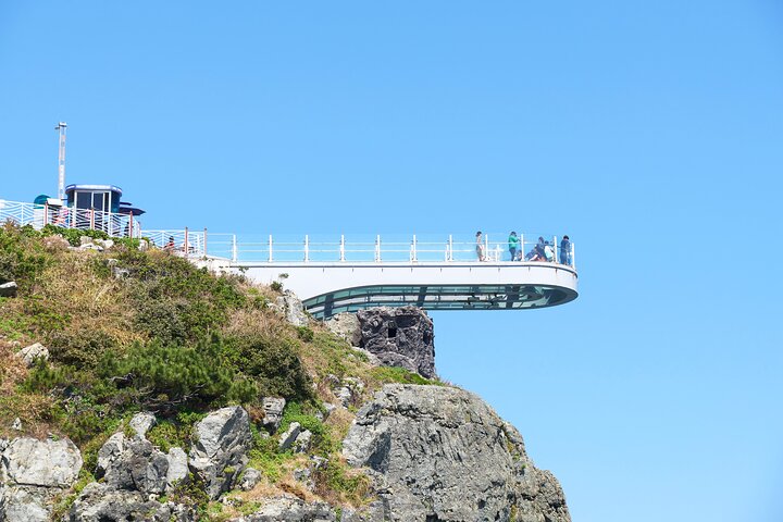 Busan Top Coastal Highlights with Gamcheon Village & Sky Capsule