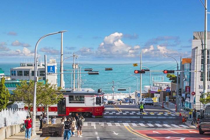 Busan Top Coastal Highlights with Gamcheon Village & Sky Capsule