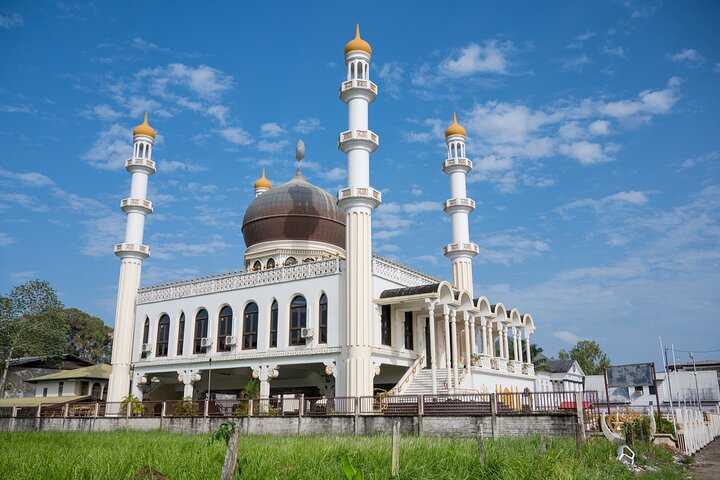 Paramaribo Heritage and Landmarks Private Guided Walking Tour