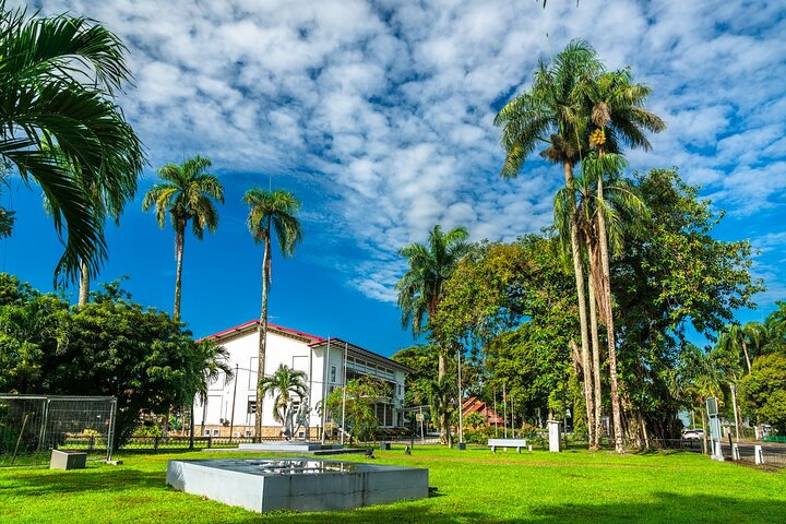 Paramaribo Heritage and Landmarks Private Guided Walking Tour