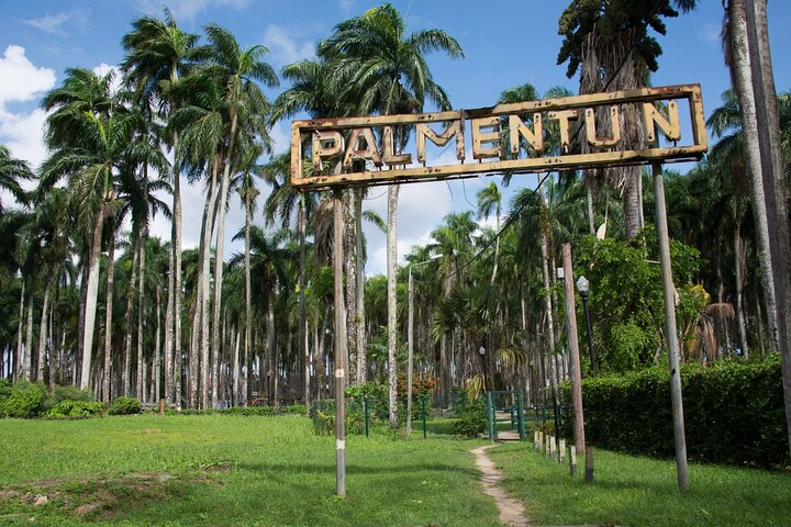 Paramaribo Heritage and Landmarks Private Guided Walking Tour