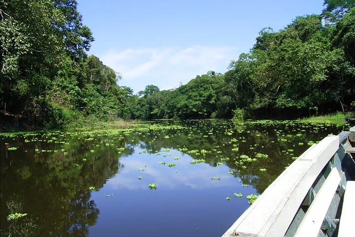 Peruvian Amazon Rainforest of Tambopata for 3 Days 2 Nights
