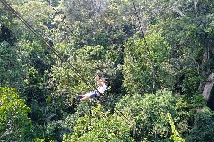Peruvian Amazon Rainforest of Tambopata for 3 Days 2 Nights