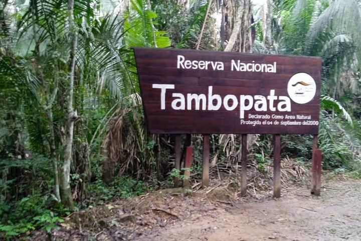 Peruvian Amazon Rainforest of Tambopata for 3 Days 2 Nights