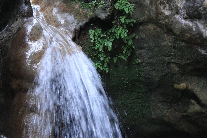 Full Day Island Bus Tour from West Samos