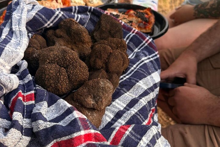 Truffle hunting with tasting in the woods