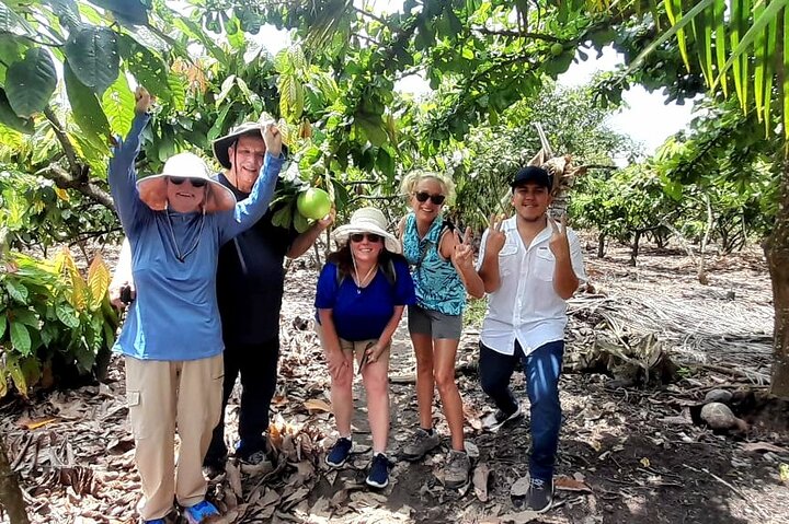 Cocoa and Tropical Fruits Farm with Fine Chocolate Experience