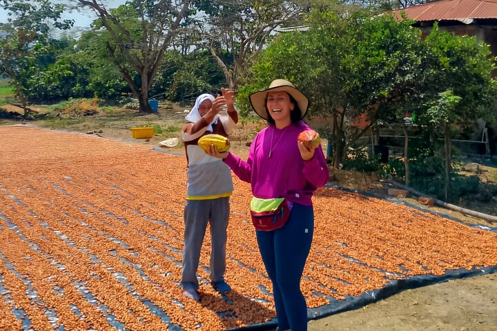 Cocoa and Tropical Fruits Farm with Fine Chocolate Experience
