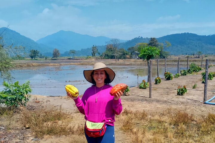 Cocoa and Tropical Fruits Farm with Fine Chocolate Experience