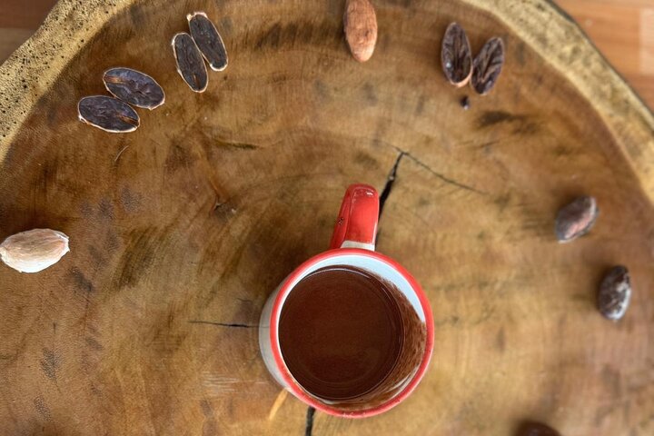 Cocoa and Tropical Fruits Farm with Fine Chocolate Experience