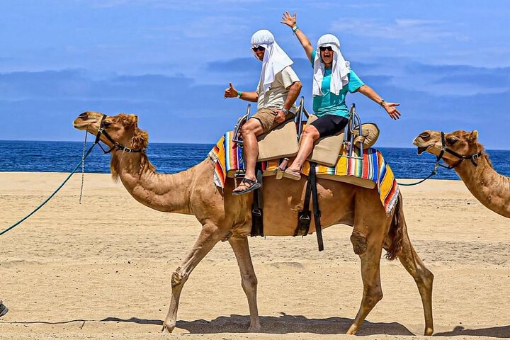 Camel Safari and Gastronomic Experience in Los Cabos