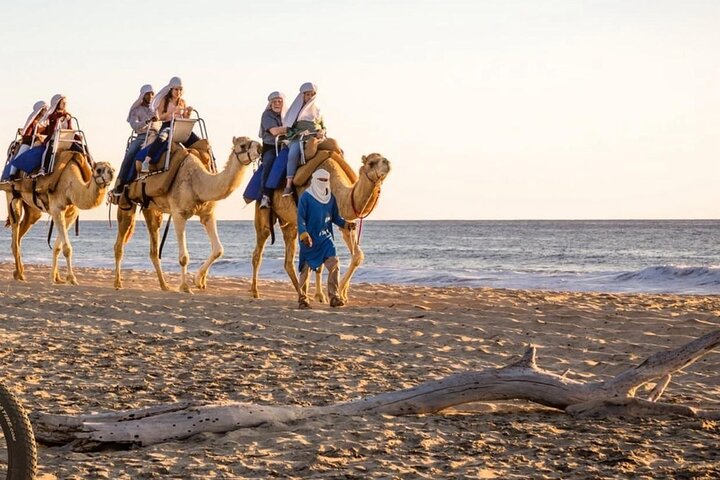 Camel Safari and Gastronomic Experience in Los Cabos