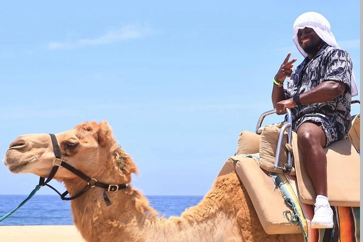 Camel Safari and Gastronomic Experience in Los Cabos