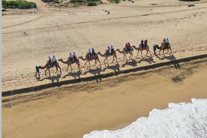 Camel Safari and Gastronomic Experience in Los Cabos