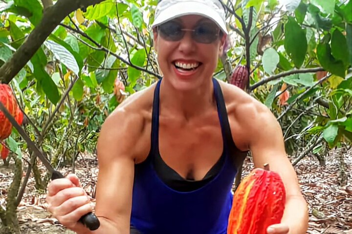 Cocoa and Tropical Fruits Farm with Fine Chocolate Experience