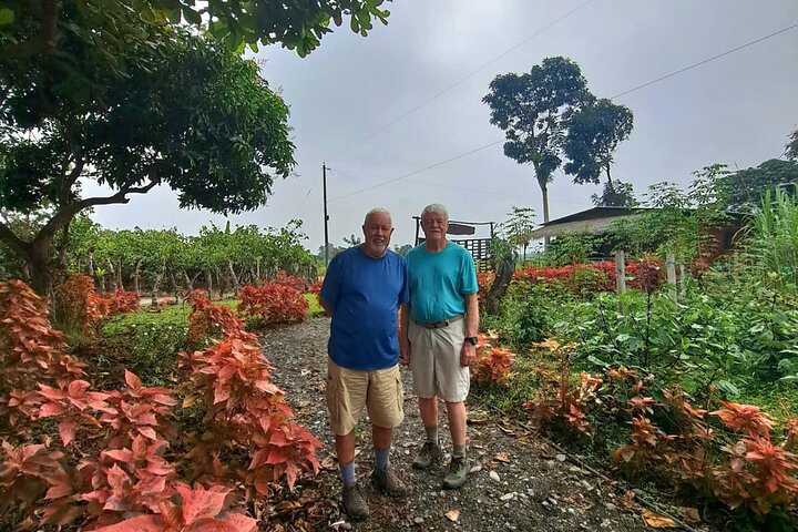 Cocoa and Tropical Fruits Farm with Fine Chocolate Experience
