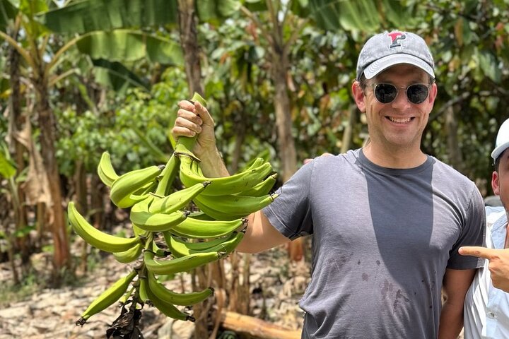 Cocoa and Tropical Fruits Farm with Fine Chocolate Experience