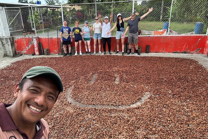 Cocoa and Tropical Fruits Farm with Fine Chocolate Experience