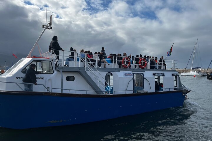 Private Hermanus Whale Watching Shoreline Day Tour from Cape Town