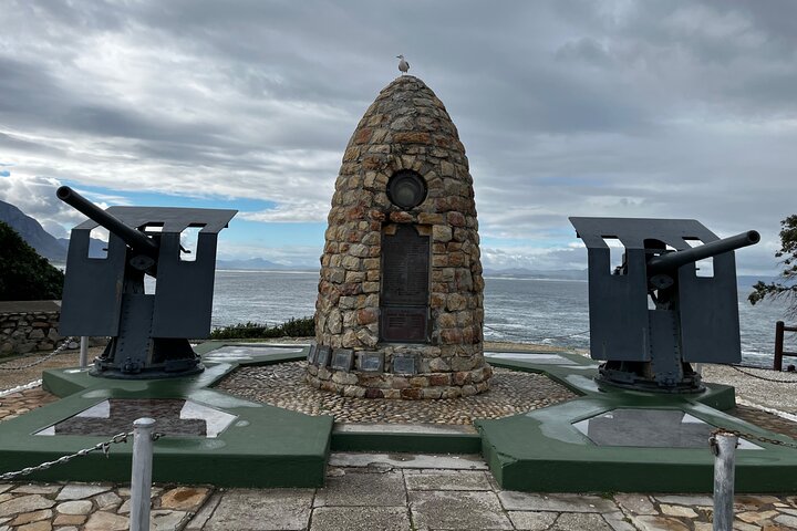 Private Hermanus Whale Watching Shoreline Day Tour from Cape Town
