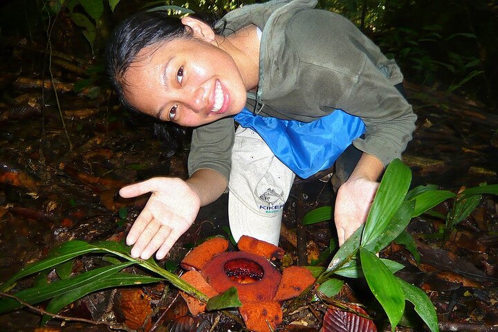 Tawau: 3D2N Maliau Basin The Lost World Expedition from Semporna