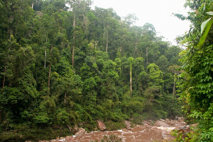 Tawau: 3D2N Maliau Basin The Lost World Expedition from Semporna