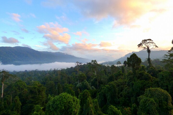 Tawau: 3D2N Maliau Basin The Lost World Expedition from Semporna