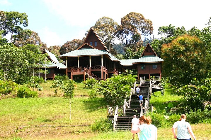 Tawau: 3D2N Maliau Basin The Lost World Expedition from Semporna