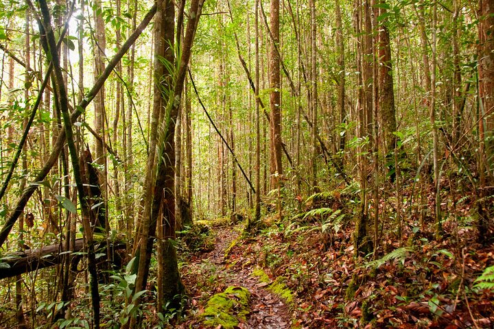 Tawau: 3D2N Maliau Basin The Lost World Expedition from Semporna