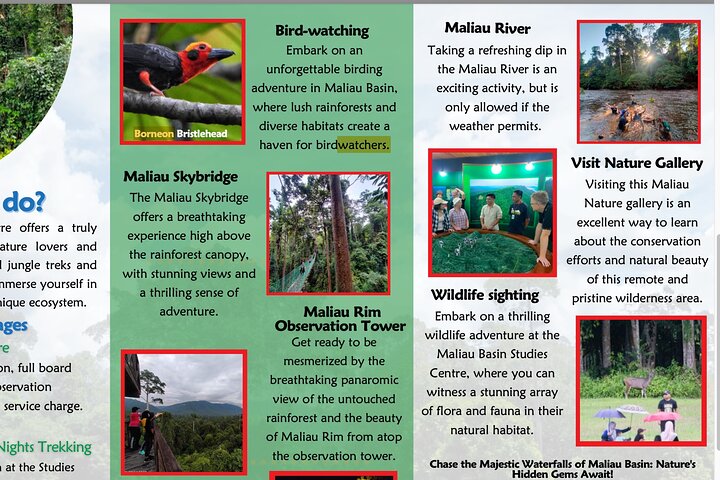 Tawau: 3D2N Maliau Basin The Lost World Expedition from Semporna