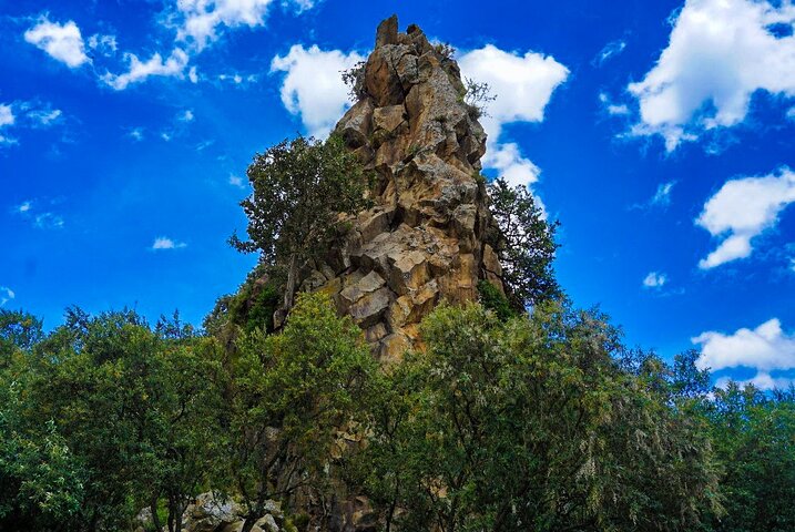 Explore Naivasha With Leshamara Safaris Transportation