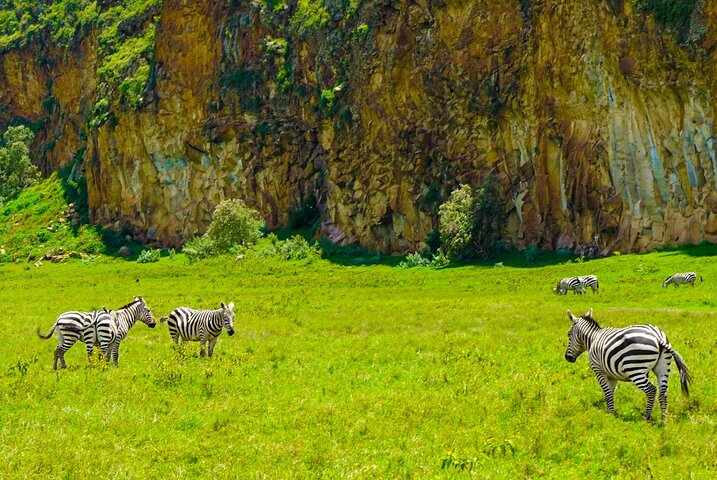 Explore Naivasha With Leshamara Safaris Transportation